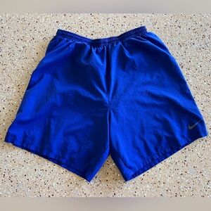 Nike Blue Dri-Fit Shorts